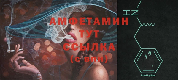 шишки Арсеньев
