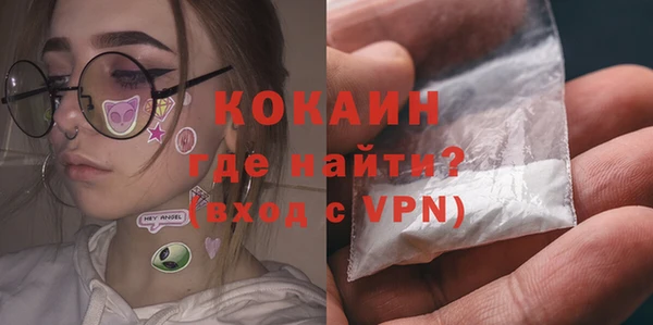 шишки Арсеньев