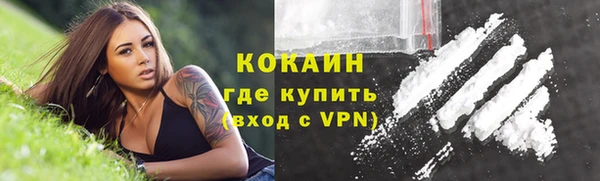 шишки Арсеньев