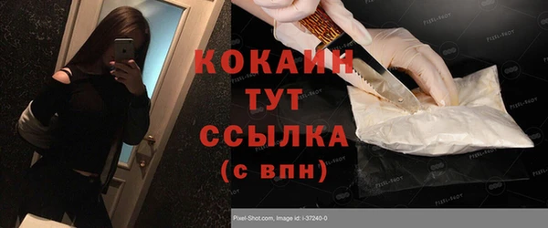 индика Армянск