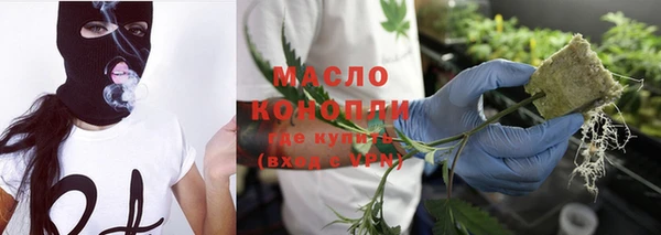 шишки Арсеньев