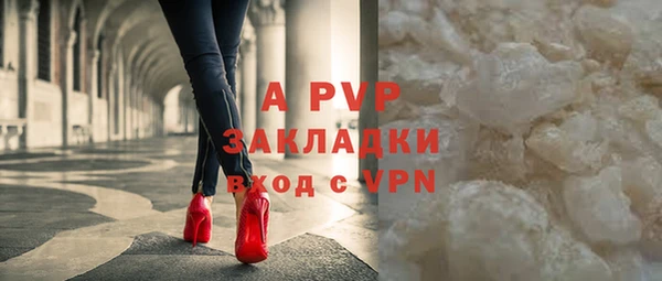 шишки Арсеньев