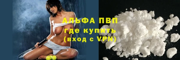 шишки Арсеньев