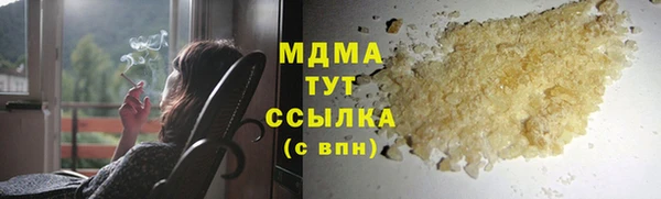 шишки Арсеньев