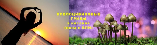 индика Армянск