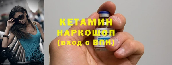 шишки Арсеньев