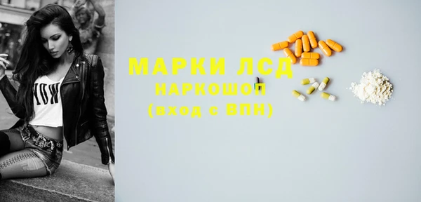 шишки Арсеньев