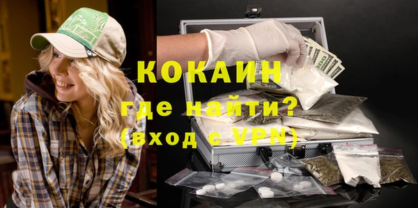 индика Армянск