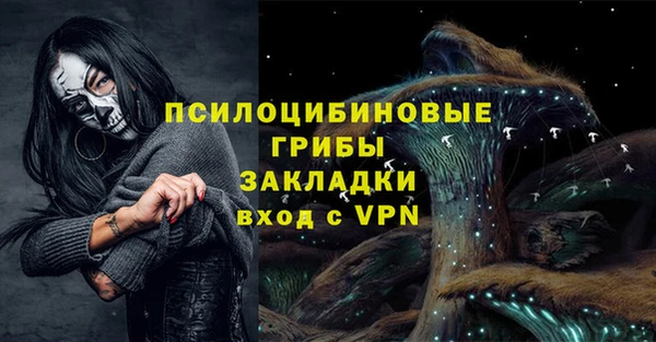 индика Армянск