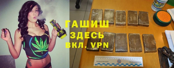 индика Армянск